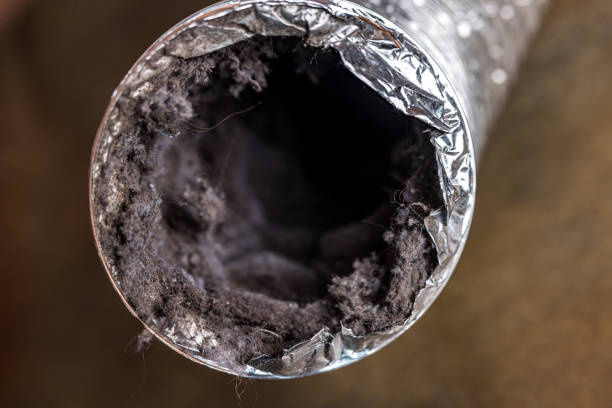 Best Local Air Duct Cleaning Services  in Mandeville, LA