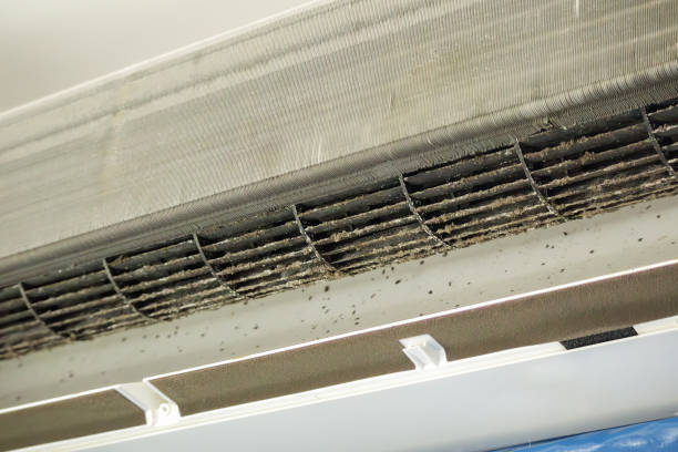 Best Ductwork Cleaning Services  in Mandeville, LA