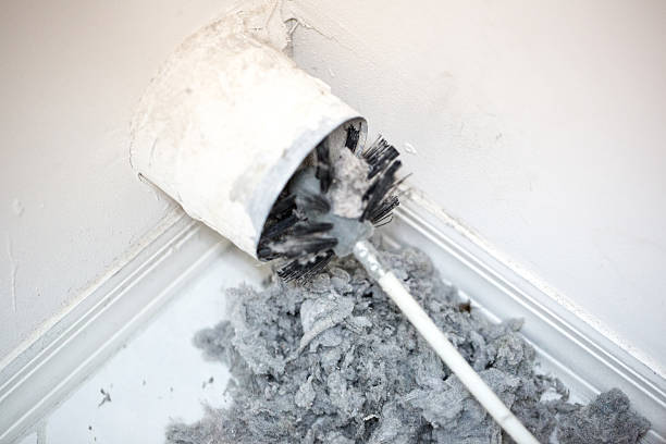 Best Commercial Air Duct Cleaning  in Mandeville, LA